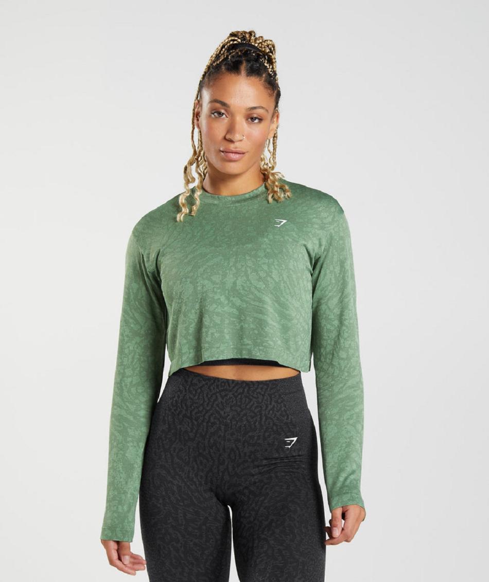 Long Sleeve Gymshark Adapt Animal Seamless Mujer Verde | CO 2290CTV